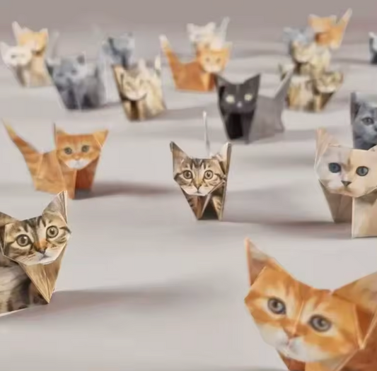 Paper Cats Origami Set
