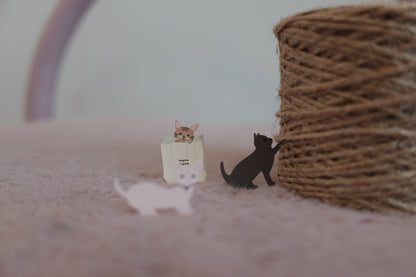 Cat Meow [1093]