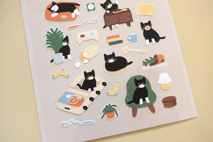 Cat's catch